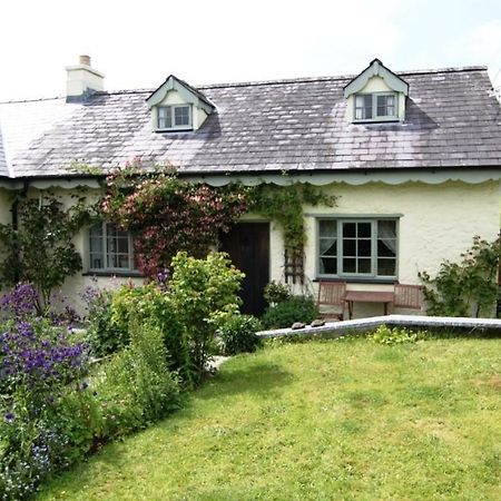 Parc Y Brenin Villa Dryslwyn Exterior photo